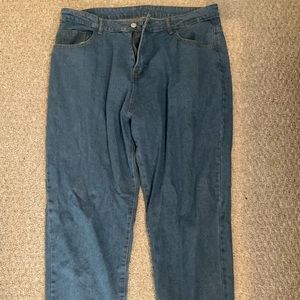 Plus Size Baggy Blue Jeans